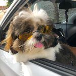 Profile Picture of Nick Haley (@nick.haley01) on Instagram