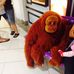 Profile Picture of Cheng Mok (@cheng.mok.52) on Facebook