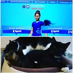 Profile Picture of Nico-jason Göthert (@themen_fortnite_and_cats) on Instagram