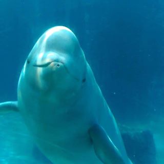 Profile Picture of Ian Sikora (@ian.sikora.311) on Facebook