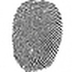 Profile Picture of Milad Angha (@imilada21) on Flickr