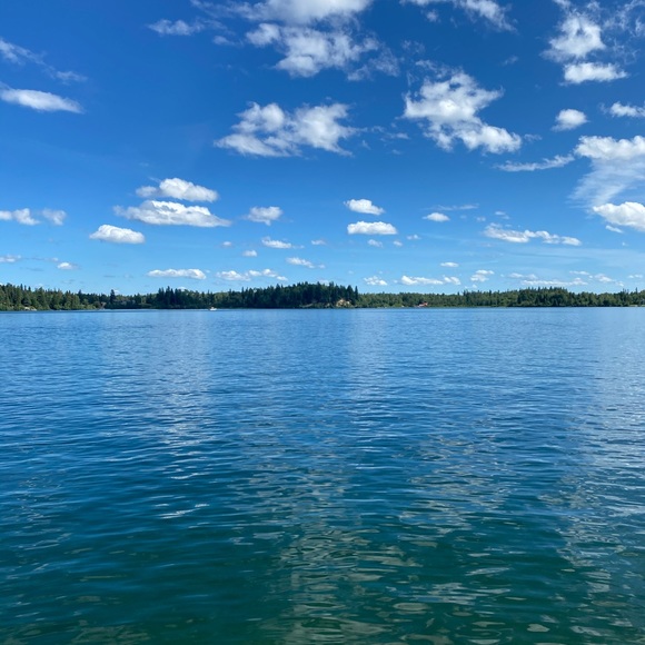 Profile Picture of Carla Hamborg (@carlahamborg777) on Poshmark