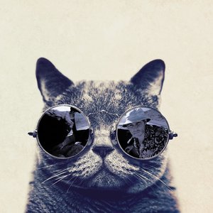 Profile Picture of Andrew Shirnin (@shirnin_andrew) on Myspace