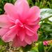 Profile Picture of Shirley Hatch (@shirley.hatch.108) on Facebook