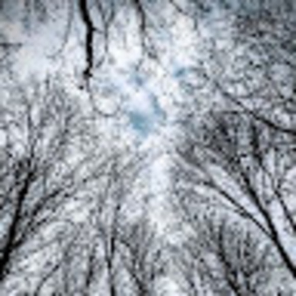 Profile Picture of Tessa Knowlton (@tessaann0121) on Poshmark