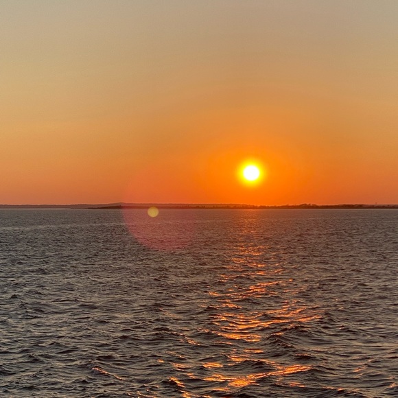 Profile Picture of Tammy Hale (@tammyhale799) on Poshmark