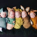 Profile Picture of scott quintupletts  💜💜 (@fivetwolove) on Instagram