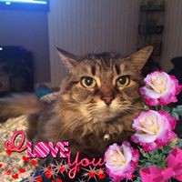 Profile Picture of Janet Baxter (@janet-baxter-13) on Quora