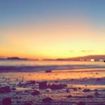 Profile Picture of Honey Scott (@me_honeybeee) on Instagram