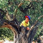 Profile Picture of Lawrence Schack (@_lawrenceschack) on Instagram