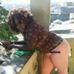 Profile Picture of Guerline Augustin (@guerline.augustin.37) on Facebook