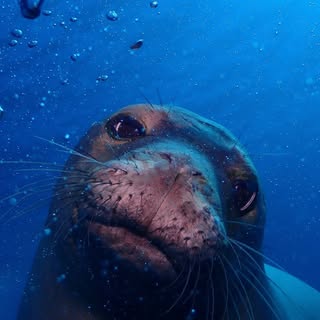 Profile Picture of Tyler Hicks (@tyler.hicks) on Instagram