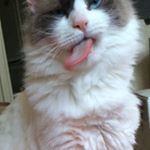 Profile Picture of Ruby Marion (@rubymarion1127) on Instagram