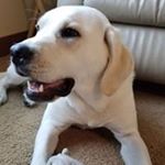 Profile Picture of Aaron Hass (@aaron.hass.58) on Instagram