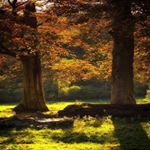 Profile Picture of John Taylor (@zharikovjanutaxz) on Instagram