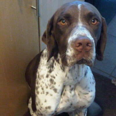 Profile Picture of Nick Wedge (@Nickjwedge) on Twitter