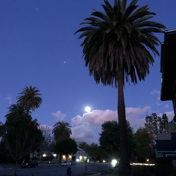 Profile Picture of Jessica Bellian (@jelbelz) on Poshmark