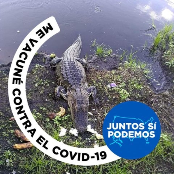 Profile Picture of Eulalio Morteo (@eulaliomorteo08) on Poshmark