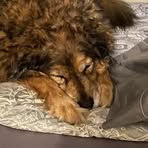 Profile Picture of Craig Ballantyne (@craig.ballantyne.58) on Facebook