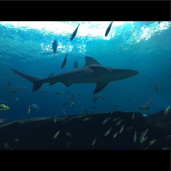 Profile Picture of Jason Patterson (@jpats) on Poshmark