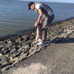 Profile Picture of David Kloos (@davidkloos7) on Tiktok