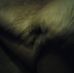 Profile Picture of Kevin Wyant (@kevin.wyant.92) on Facebook