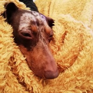 Profile Picture of Alan Crozier (@AlanCrozier6) on Twitter