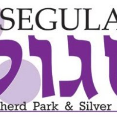 Profile Picture of Segulah Minyan (@segulahminyan) on Twitter
