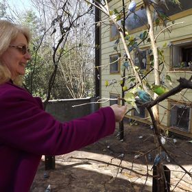 Profile Picture of Robin Ryerse Barber (@robinryerse) on Pinterest