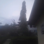 Profile Picture of Jared Pereira (@jaredpereira7302) on Youtube