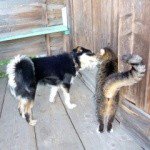 Bolser - Instagram Profile Picture of Bolser (@bolserdarian72) on Instagram