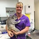 Profile Picture of David Stebbing (@david.stebbing) on Instagram