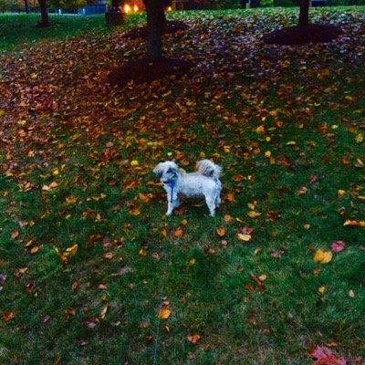 Profile Picture of Kenneth Wohl-ludman (@KenwlLudman) on Twitter