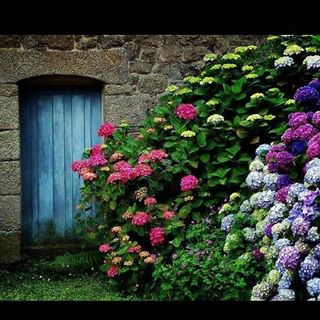 Profile Picture of Alexa Xana Brito (@Alexa-Xana-Brito) on Facebook