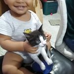 Profile Picture of José Luis Agudelo Gutiérrez (@joseluisagudelogutierrez) on Instagram