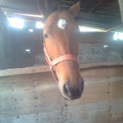 Profile Picture of Imelda Zepeda (@ImeldaZepeda1) on Twitter