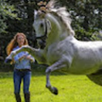 Profile Picture of Sonya Farrell (@sonya-farrell-10) on Quora