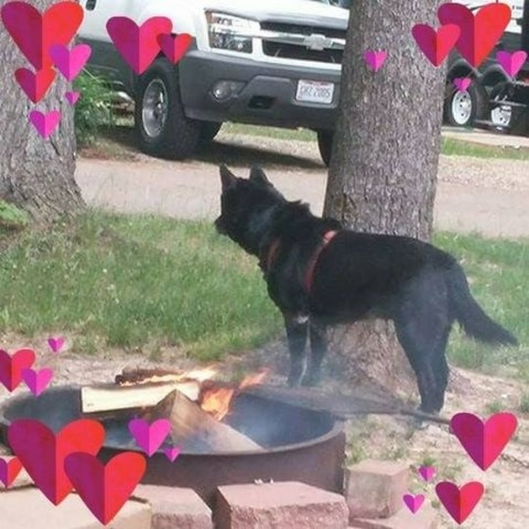 Profile Picture of Debbie Keener (@keener879) on Poshmark