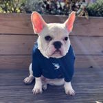 John Borromeo - Instagram Profile Picture of John Borromeo (@juanb448) on Instagram