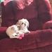 Profile Picture of Lori Robison (@lori.robison.184) on Facebook