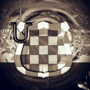 Profile Picture of Damir Barac (@damir.barac) on Tiktok