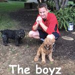 Profile Picture of Brad Quigley (@bradquigs) on Instagram