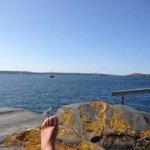 Profile Picture of Mari Kinger Fd Palmgren (@maliloki) on Instagram