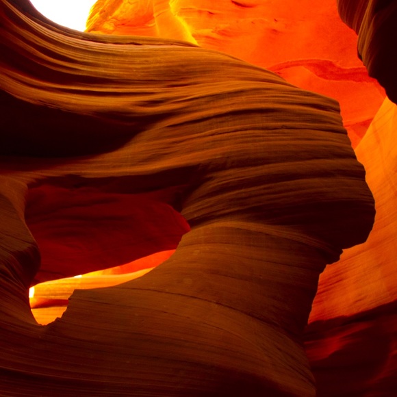 Profile Picture of Max Seligman (@magicmax6) on Poshmark