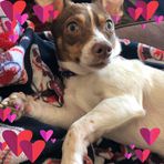 Profile Picture of Elaine DailyBirnbaum (@elaine.dailybirnbaum.5) on Facebook