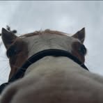 Profile Picture of Crystal Dodds (@crystal.dodds.2025) on Facebook