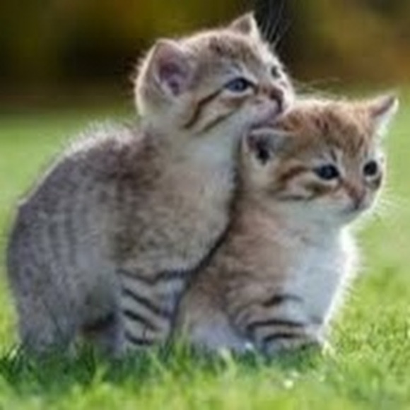 Caleb Kempen - Poshmark Profile Picture of Caleb Kempen (@caleb85) on Poshmark