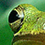 Profile Picture of Christopher Solis (@ChriSolis) on Flickr