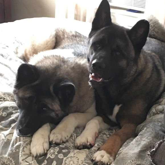 Profile Picture of Kimberly Mansolillo (@kmansolillo) on Poshmark