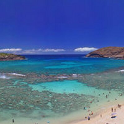 Profile Picture of Brian Fitzmaurice (@brian305) on Twitter